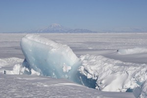 In this photo of a pressure ridge, the blue underside of a slab of sea ice protrudes up through the surrounding ice. Shifting annual sea ice, pushing against the permanent Ross Ice Shelf, creates pressure ridges of uplifted ice. (Photo by Steven Profaizer, National Science Foundation)