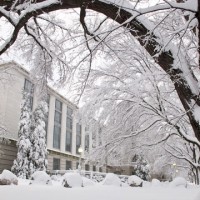 National Museum of Natural History in snow