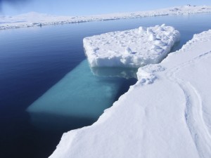 Bllocks of ice that have broken from the edge of the shipping channel. (Photo by Wayne Clough) 