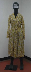 Rosa Parks' dress