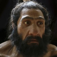 Homo neanderthalensis