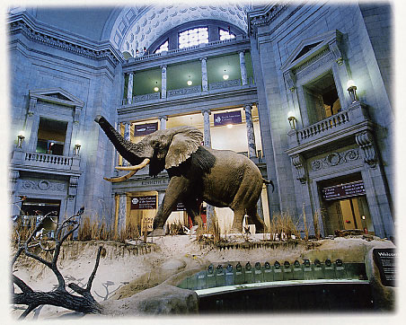 Today in Smithsonian History: March 6, 1959