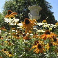 The Andrew Jackson Downing urn in the Enid A. Haupt Garden.