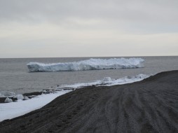 Rising temperatures are reducing the amount of sea ice around St. Lawrence Island, threatening the ability of the Native population to hunt the walrus and seals upon which they depend. (Photo by John Pepper Henry)