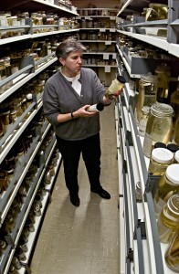 Lynn Parenti, curator and research scientist in the Department of Vertebrate Zoology, Division of Fishes, National Museum of Natural History, stands among a small portion of the museum’s four million fish specimens. (Photo by James Di Loreto)