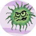 Swine flu virus bug