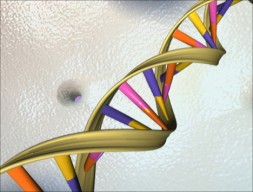 The initial decoding of the human genome took a decade.