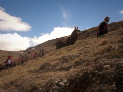 Community of Chawaytiri on the Antisuyo Inca Road. Peru, November 2010. (Photo by Kevin Cartwright)