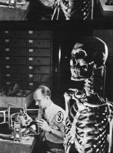 T. Dale Stewart, M.D., Curator of Physical Anthropology, National Museum of Natural History, 1950, by the Federal Bureau of Investigation, 
