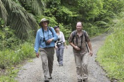 ASU scientists Dave Pearson, Juergen Gadau and Smithsonian researcher Kate Ihle walk through field site in Panama. Vidyo technology will bring real time video from Smithsonian tropical research sites into classrooms and connect Smithsonian researchers with ASU students and faculty