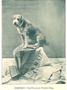 As a writer for the Railway Mail Service clerk’s newsletter, the “RMS Bugle” noted, it was almost impossible to get Owney to sit for a photograph unless he was able to sit on mailbags. 