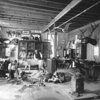 Then: In this c. 1880 photo by an unknown photographer of the interior of the model and taxidermy shop, which was located in the South Yard behind the Smithsonian Institution Building (the Castle), William Temple Hornaday (center), taxidermist and zookeeper, is working on a tiger mounted for exhibit and Andrew Forney is working on the tiger skin. On the far right an unidentified man seated at a desk is working on a specimen. Other mounted animals line the shelves ad skulls and animal skins are scattered throughout the room.