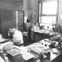 Then: G. Arthur (Gustav Arthur) Cooper (1902-2000) and his wife, Josephine Cooper, are at work in his office in the Division of Invertebrate Paleontology, United States National Museum, now the National Museum of Natural History, in June of 1954. Specimens of fossil brachiopods can be seen on the desk as well as where his wife is working by the window. Cooper, a paleobiologist specializing in the classification and stratigraphy of Paleozoic brachiopods, was appointed assistant curator in the Division of Stratigraphic Paleontology of the United States National Museum in 1930 and continued as paleobiologist emeritus after his retirement in 1974. Throughout his career he conducted extensive field work in the United States, Canada, and Mexico, adding significantly to the national collections. (Photographer unknown)