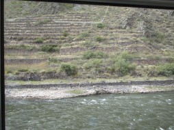 terraces