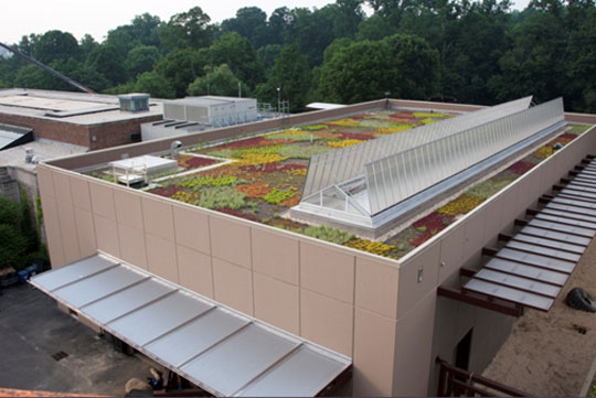 NZP-Elephant-Trails---Green Green roof and operable skylights for natural daylight and ventilation on the completed barn for Elephant Trails at the National Zoo.