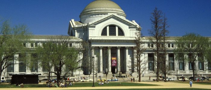 Kirk Johnson named director of the National Museum of Natural History