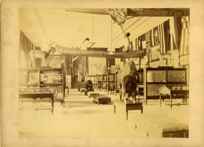 Collections on display at the Columbian Historical Exposition in Madrid, Spain. Image by J. Laurent and C. Madrid