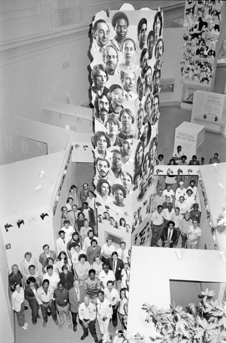 The "Dynamics of Evolution," exhibit in the Smithsonian's National Museum of Natural History seen from above. A group of Smithsonian staff members pose for a photograph in the "Dynamics of Evolution" exhibition next to the "People Tower" and the "Dog Tower. The "People Tower" is covered with more than 100 larger than life-size photos of faces showing genetic traits, such as blue or brown eyes, or black or blond hair. The "Dog Tower" illustrates how "artificial" selection by human beings has influenced an animal's evolutionary history.