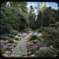 American Garden Glass Lantern Slide, c. 1930, via Smithsonian’s Archives of American Gardens