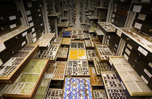 Today in Smithsonian History: April 2, 1860