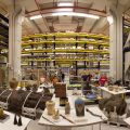 Panoramic view of Pod 4 of the Smithsonian Museum Support Center, with artifacts and staff.