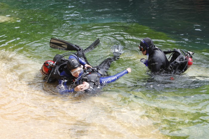 Dive Rescue Drill at the National Zoo Seal and Sea Lion Pool