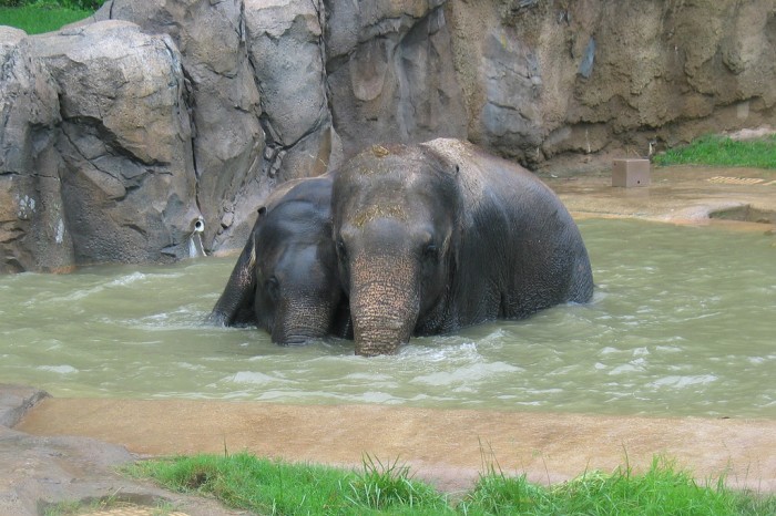 Kandula and Shanthi enjoy a dip.