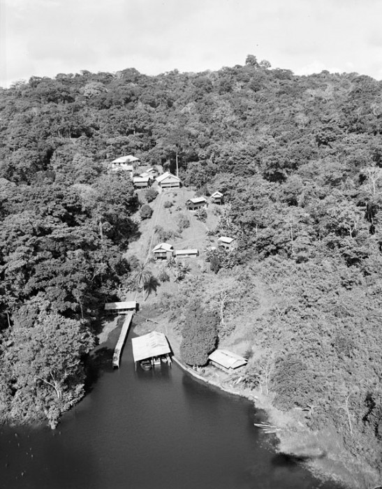 Aerial view of the Barro Colorado Island laboratory of the Canal Zone Biological Area located on Gatun Lake in the Panama Canal watershed in Panama, c. 1950. The CZBA was made part of the Smithsonian in 1946 and later renamed the Smithsonian Tropical Research Institute. This view shows the dock and facilities from Gatun Lake.