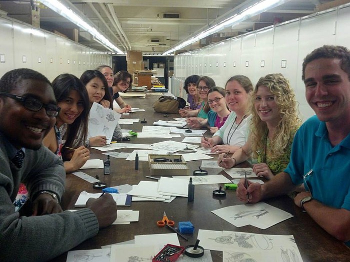 Interns at the National Museum of Natural History test their skill in a workshop on scientific illustration led by Alice Tangerini.