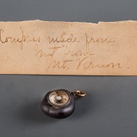 Miniature compass embedded in a nut from George Washington's Mount Vernon