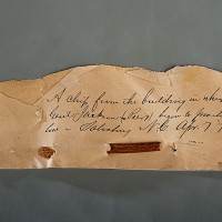 A wooden chip from the building in which President Andrew Jackson studied law