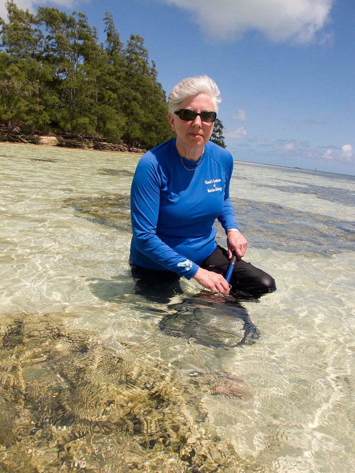 A lifetime of achievement, an honorary doctorate and “bird friendly” conservation