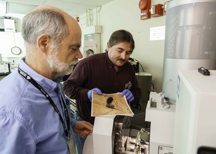 Dale Greenwalt, left, and Tim Rose of the Department of Mineral Sciences at the Smithsonian’s National Museum of Natural History, use an energy-dispersive X-ray spectrometer to study the blood deposits in the fossil of a prehistoric mosquito. (Photo by James DiLoreto)