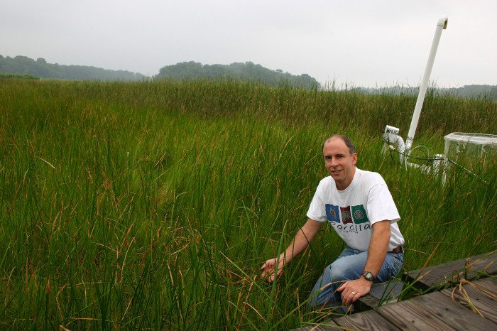 Pat Megonigal studies sea-level rise at SERC’s experimental wetland in Maryland. In the mid-Atlantic, sea level is rising at a rate of roughly 3 millimeters per year. So far, this marsh is building soil quickly enough to keep pace. (SERC photo)