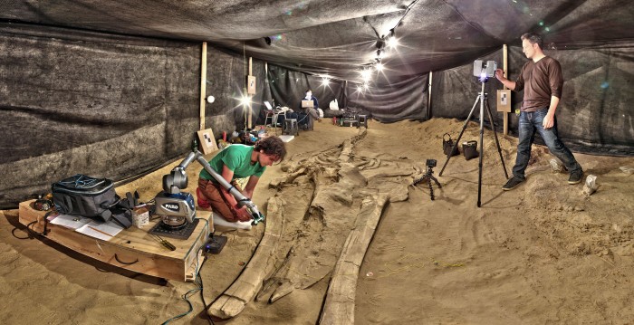 From left, Adam Metallo and Vince Rossi from the Smithsonian's Digitization Program Office 3-D Lab use a high-resolution laser arm and medium-range laser scanners to document one of the most complete fossil whales from the Cerro Ballena site. In the background, Smithsonian paleontologist Nick Pyenson reviews data on his laptop while the group works at night in a temporary tent next to the Pan-American Highway in the Atacama Region of Chile, 2011.