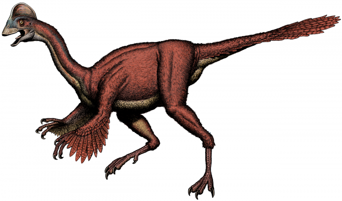 Artist rendering oviraptorsaur