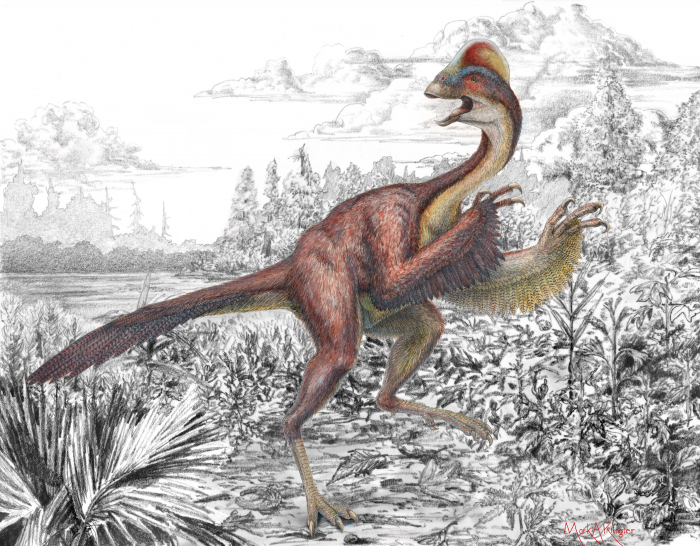 Oviraptorsaur