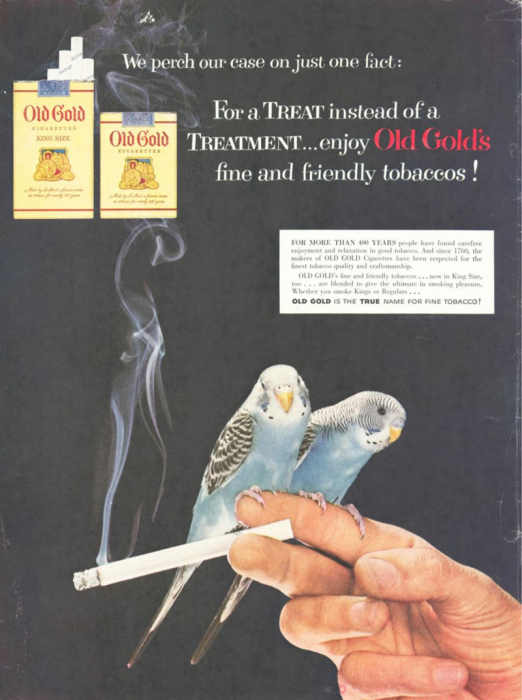 Old Gold ad with parakeets