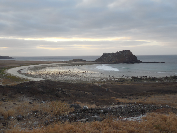 Clarion Island in Sulphur Bay in Mexico