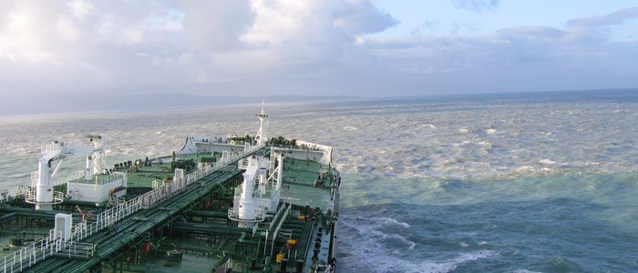 Arctic shipping: Good for invasive species, bad for the rest of nature