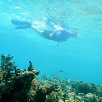 Wayne Clough snorkeling at Carrie Bow Cay Marine Station, Belize