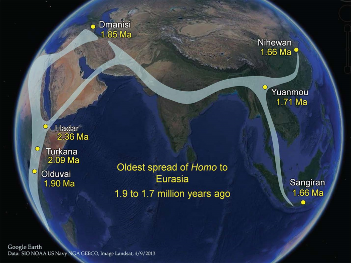 A large brain, long legs, the ability to craft tools and prolonged maturation periods were all thought to have evolved together at the start of the Homo lineage in response to the Earth’s changing climate; however, scientists now have evidence that these traits arose separately rather than as a single package. In July 2014, Smithsonian paleoanthropologist Richard Potts and a team of researchers analyzed new scientific data and concluded that the ability of early humans to adjust to changing conditions ultimately enabled the earliest species of Homo to vary, survive and begin spreading from Africa to Eurasia 1.85 million years ago. Courtesy of Antón, Potts and Aiello (2014), Science 345(6192).