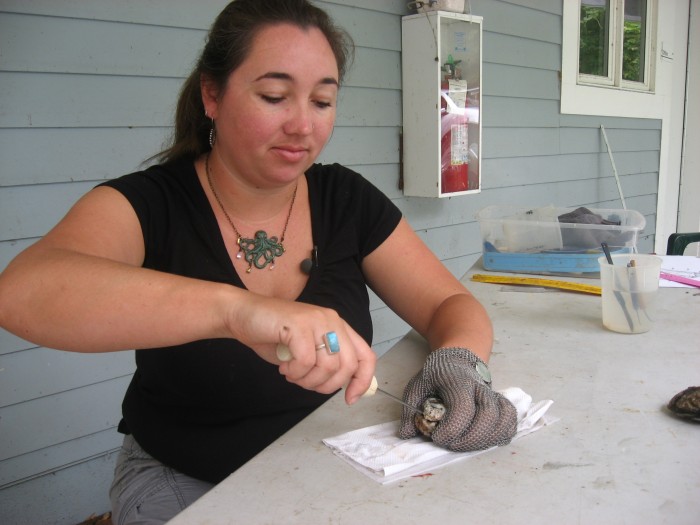 Head technician Rebecca Burrell shucks an oyster for analysis. (SERC)