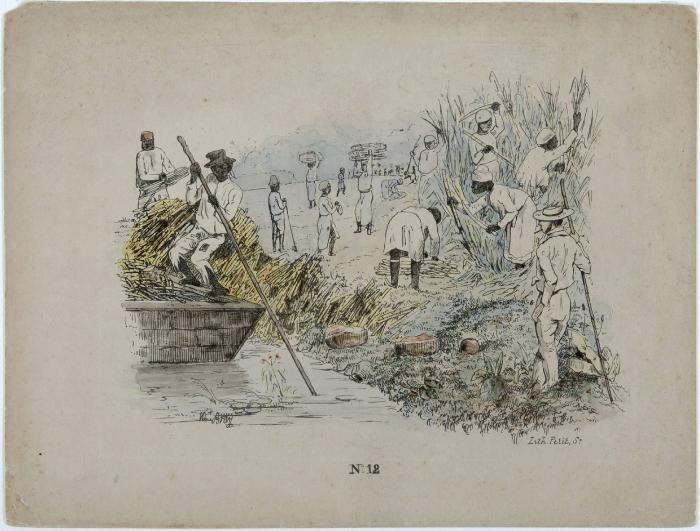 A 19th-century (1840 - 1860) lithograph by Theodore Bray showing a sugarcane plantation. On right is "white officer", the European overseer. Slave workers toil during the harvest. To the left is a flat-bottomed vessel for cane transportation. Courtesy the Tropenmuseum, part of the National Museum of World Cultures, via Wikimedia Commons.