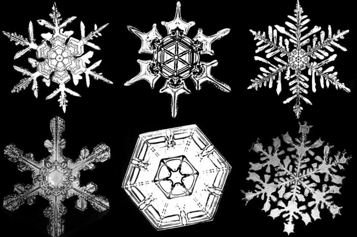 Six different kinds of snowflakes against black background