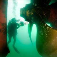 The ship's propeller dwarfs the divers. (Photo by Laurie Penland)