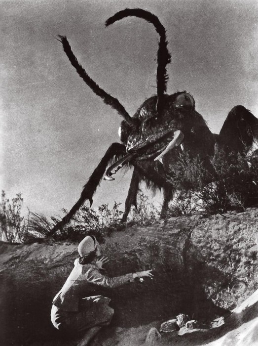 A nest of gigantic irradiated ants is discovered in the New Mexico desert and wreak all sorts of havoc in the 1954 Warner Bros. film, "Them!" The Smithsonian has nothing to do with this; we just think it's cool.