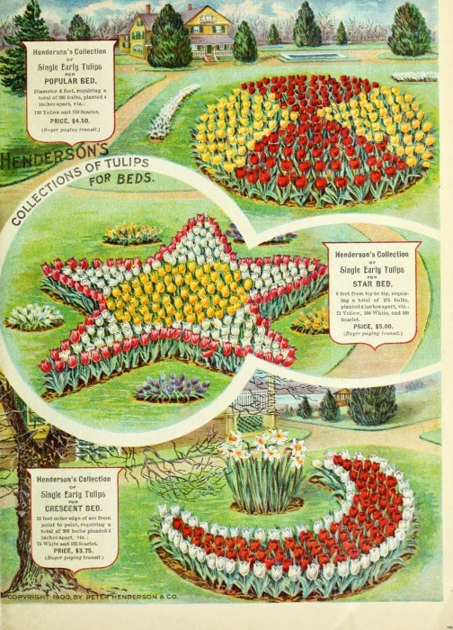 : "Bedding Out" Garden Style. Peter Henderson and Co. Autumn bulbs catalogue : 1900. http://biodiversitylibrary.org/page/43899723. Digitized by the USDA National Agricultural Library.