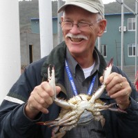 SERC Director Tuck Hines holds a female blue crab. SERC’s collaborative research with other scientists was critical to reversing a population decline of the crabs in the Chesapeake Bay. (Photo courtesy Smithsonian Environmental research Center)