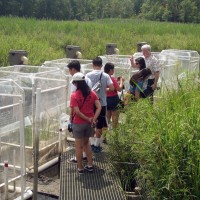 Mark Haddon, Director of Education at SERC, teaches visiting students about the Center’s work on climate change in SERC’s Global Change Research Wetland. (Photo courtesy Consortium for Ocean Leadership)